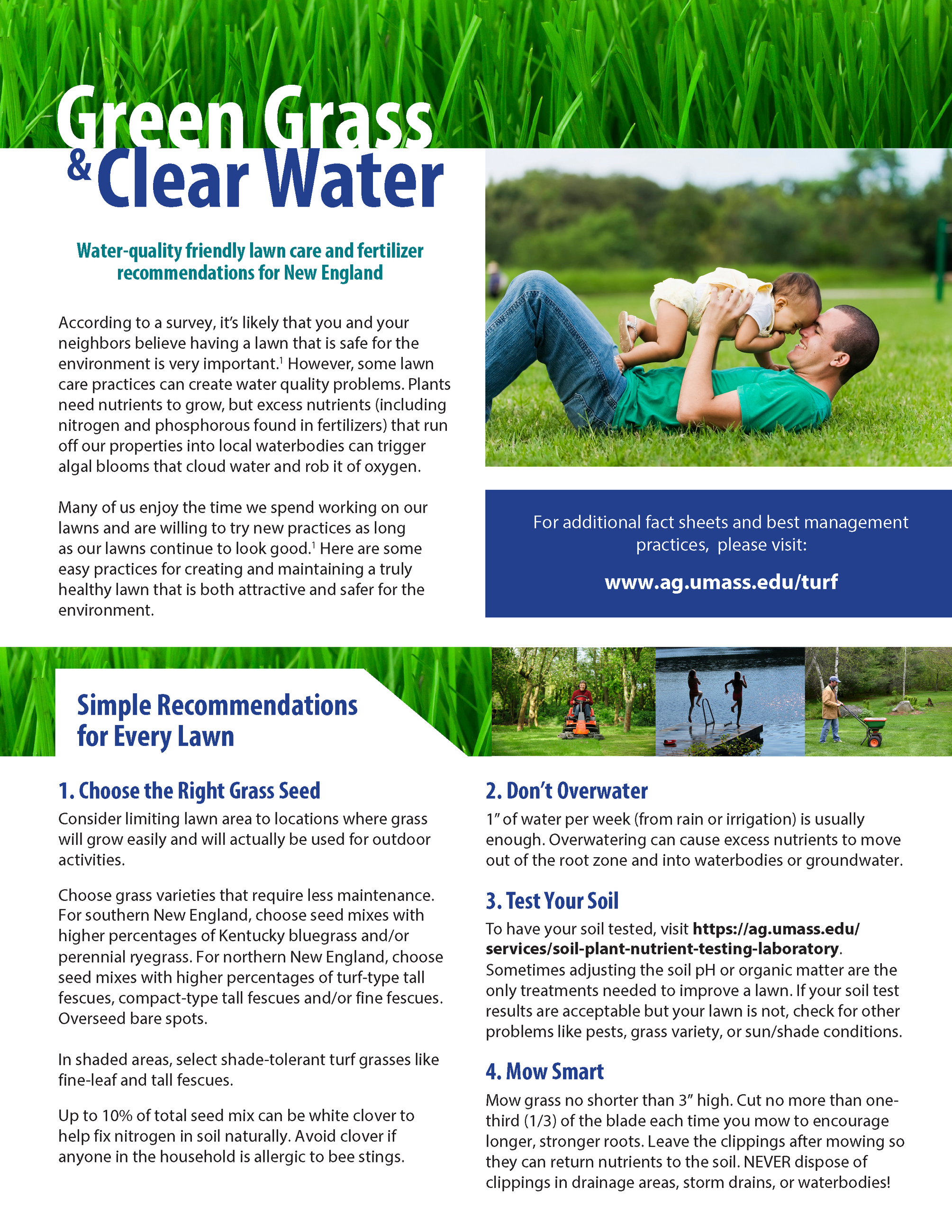Spring Option 1 - Fertilizer and Lawn Care Page 1